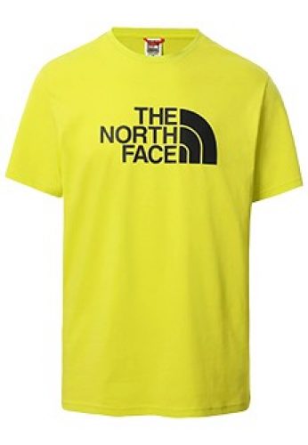 Футболка THE NORTH FACE